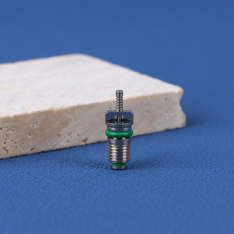 10 ks Ac R134A Jádro ventilu Automobilové Jádra klimatizace Jehly Sada na opravu Žáruvzdorné Příslušenství pro vozidla