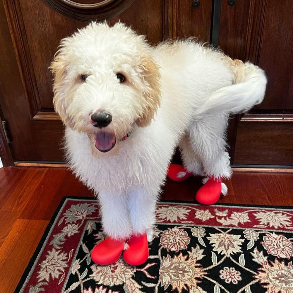 Silicone Dog Boots Waterproof Anti-Slip Pet Shoes 2pcs Paw Protectors All Weather Cute Dog Walking Shoes
