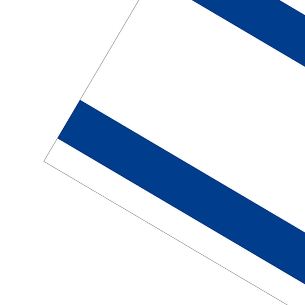 Israel Israelische Flagge Polyester Wir stehen zu Israel Gartenflagge für Feiertag Hof Außendekoration 90x150cm