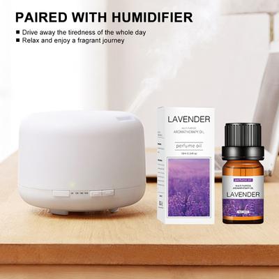 Wasserlösliches Ätherisches Öl Set Aromatherapie TOP 6 Bio Mischungen für Diffusor Luftbefeuchter Parfüm