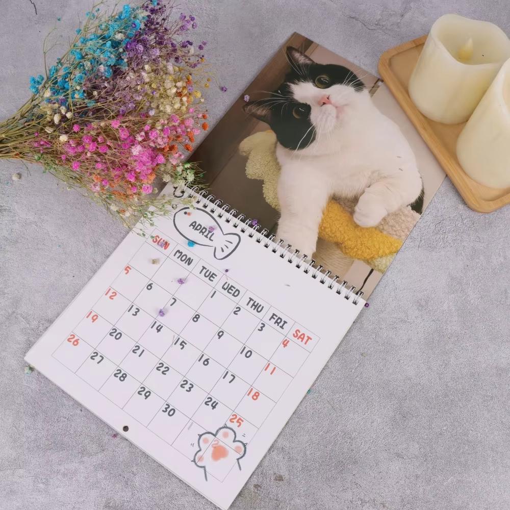 Newest Cute Cat 2026 Calendar Monthly and Daily Planner with Adorable Frog-Eyed Kitten Design Funny Family Planner