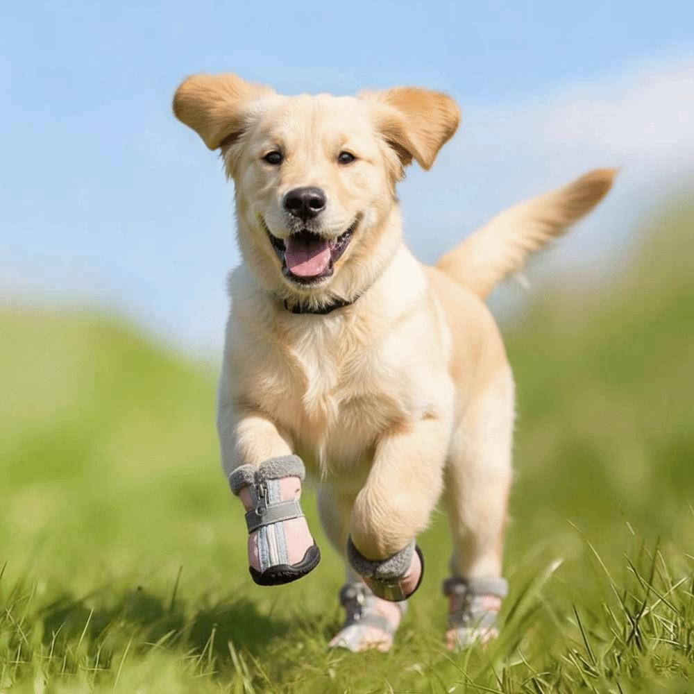 4 Stk./Set Verschleißfest Warm Winter Hundeschuhe Wasserdicht Plüsch Haustier Schneestiefel Reflektierend Verdickt Hunde-Schuhwerk Abenteuer