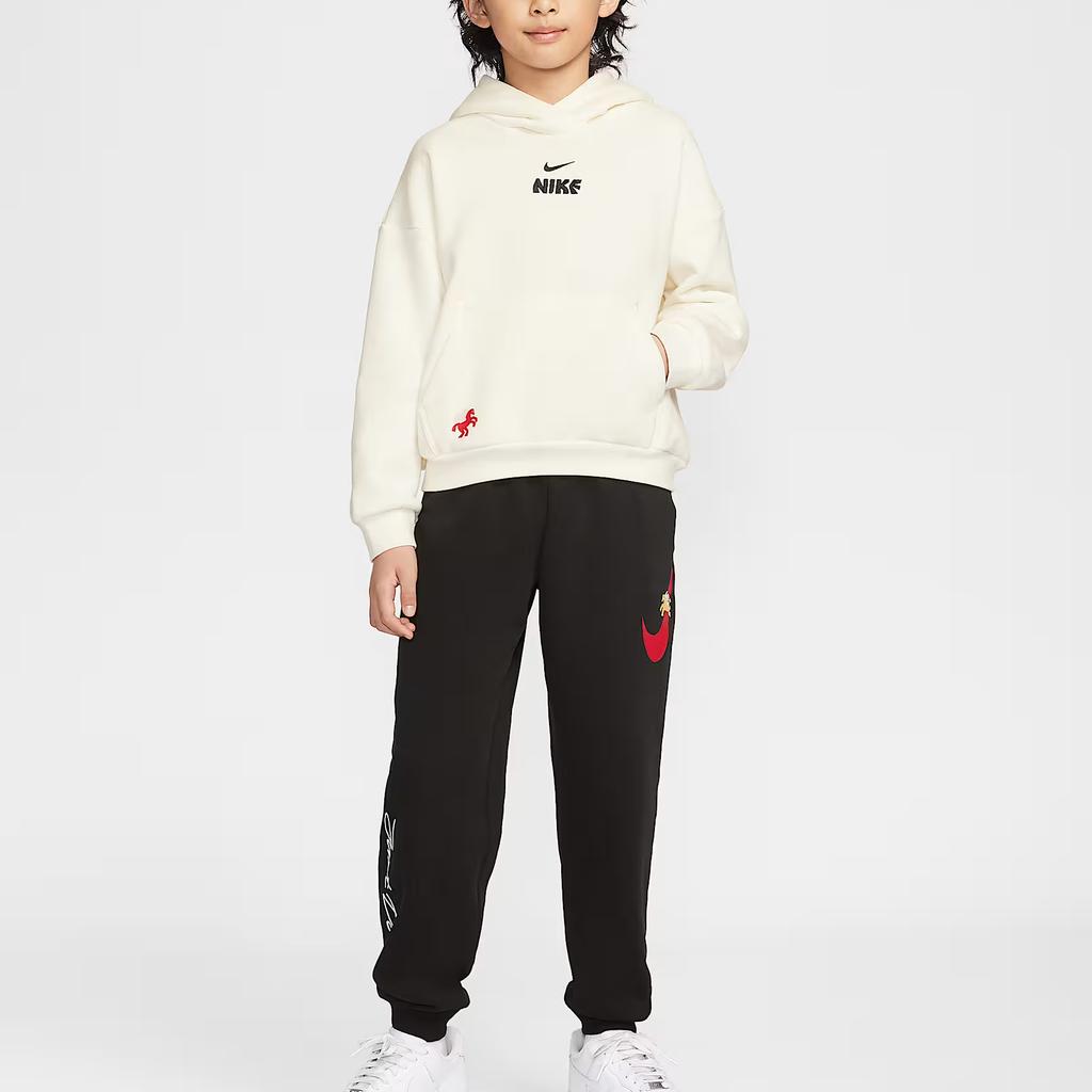 Nike Kids Sweatshirts Hooded Moderate IQ3934-133