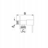 Angle Valve With Ceramic Head 1/2 X 3/8 Pin