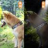 Homie Pettie Luminous Collar for Dogs Dog Collar and Lead Luminous Collar for Light for Luminous 3M Reflective Material Supports Safe Cat Collar with