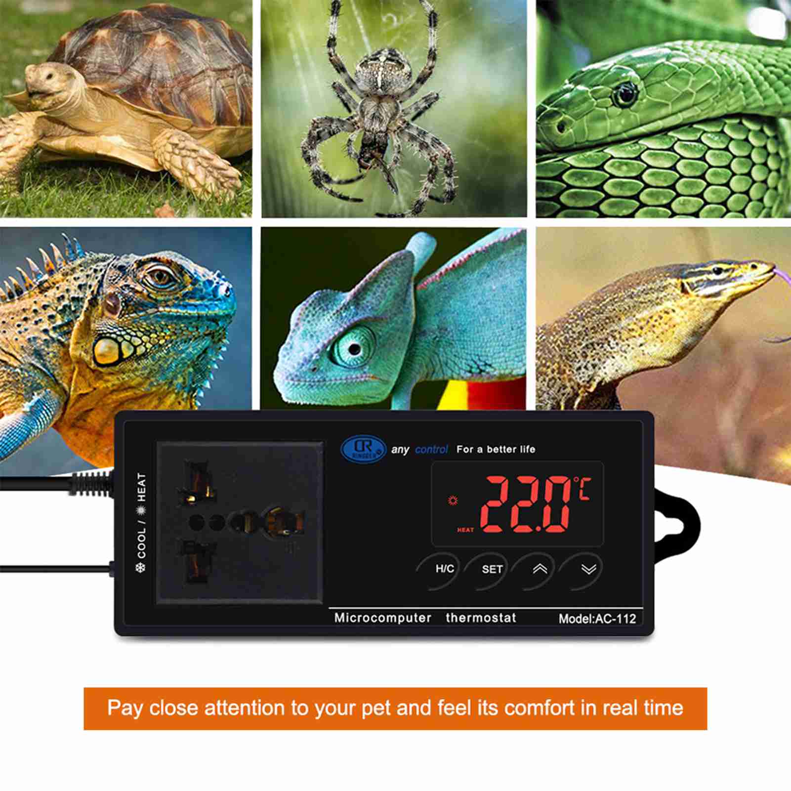 Digital Display Thermostat Intelligent High Accuracy Reptile Temperature Controller for Greenhouse Incubator Fridge Black
