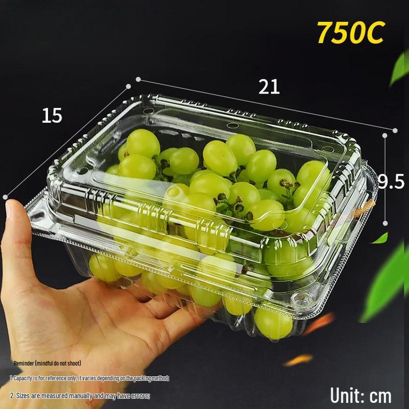 Disposable Round Plastic Fruit Container (No Lid)