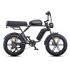 Engwe M1-D 250W 48V 28.6Ah Battery Dual Seat Electric Bicycle With Dual Suspension