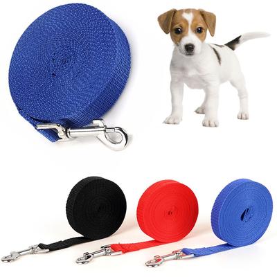 Perros – Collares y correas