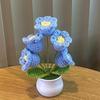 1PC Handmade Weaving Mini Potted Flowers DIY Home Office Desktop Decoration Potted Plants Wool Home Decoration