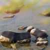 Waterproof Breathable Windproof Comfortable Warm Sweat-Wicking Outdoor Adventure Socks