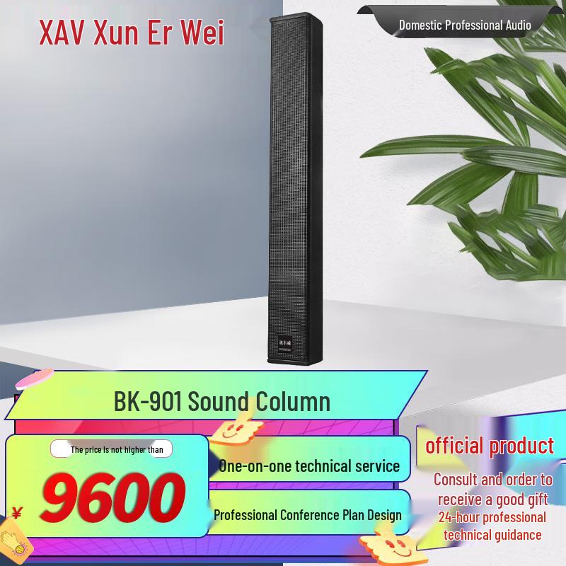Xun Er Wei Professional Conference & Entertainment Audio-Visual Equipment (CN version)