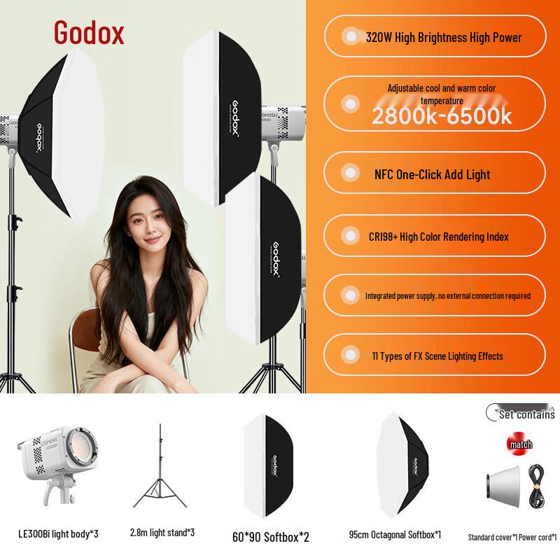 Godox LE300Bi Bi-color LED Video Light Kit