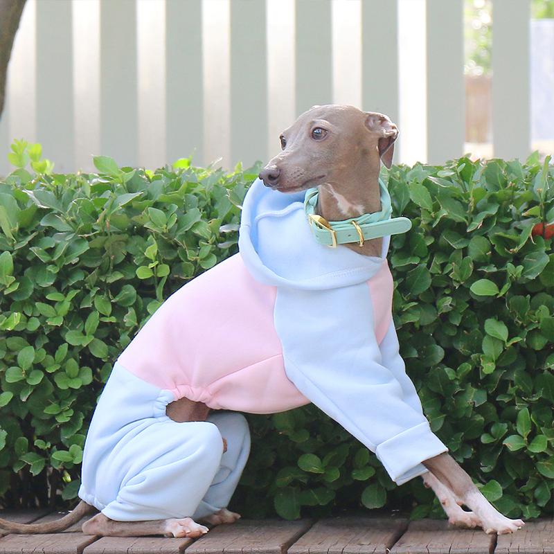 Winter Hundepullover Italienisches Windspiel Whippet Warmer Hundemantel Haustier Fleece Warm Mit Kapuze Vierbeiniger Pullover Overall