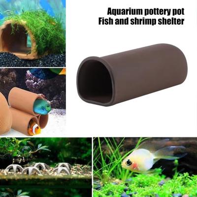 Fische & Meerestiere – Aquarien-Einrichtung
