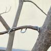 10/30Pcs Fruit Tree Branch Shape Fixator M-Type Branch Trainer Angle Benders Reusable Fruit Tree Support Holder Vine Trainers