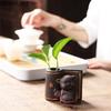 1PCS Ceramic Tea Pet Ornaments Small Buddha Statue Monk Figurine Desktop Flower Pot Hydroponic Plant Decoration Tea  Accessories