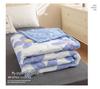 Summer Thin Ultrasonic Aloe Cotton Quilt for Dormitory Students