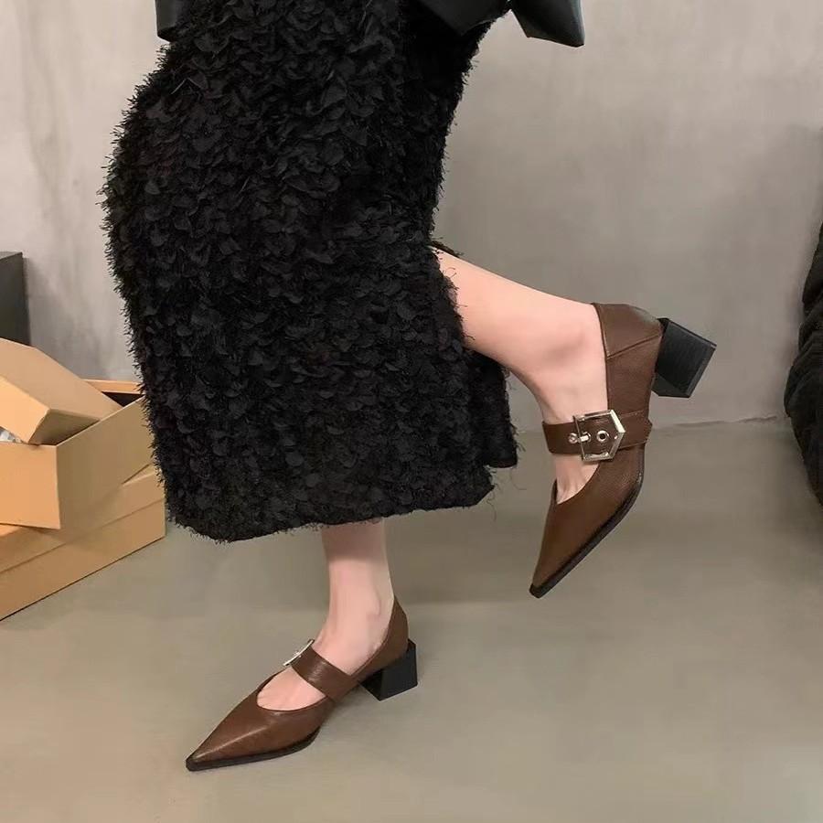 Single shoes high heels thick heel Mary women's shoes Zizhen French retro small leather shoes pointed 2025 new spring and autumn single shoes