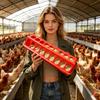Poultry Feeder Trough Anti-waste Chicken Birds Waterer Feeding Bucket Chicken Water And Food Dispenser Bowl