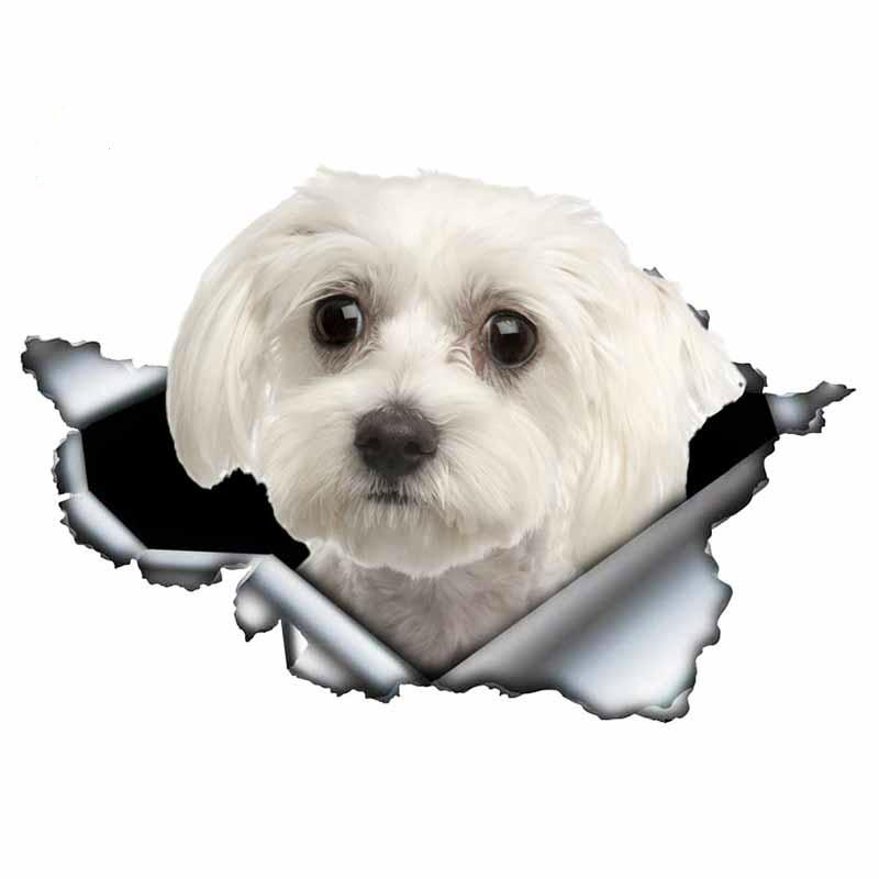 LYKX Lovely Maltese Pet Dog Car Sticker Decoration Waterproof Window Boot Decal Motorcycle Cover Scratch PVC Decals