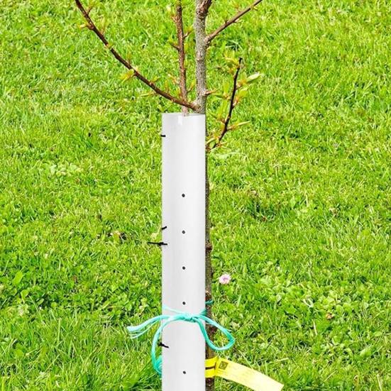 5 Stück Baumsetzling Wachstuben Belüftete Setzlingsschutzrohre 36 Zoll 48 Zoll Geteilte Baumwachstums-Schutzvorrichtungen mit Reißverschluss für Pflanzenschutz