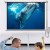 FAIRY LAKE 120-inch 4:3 Pull-Down Projection Screen
