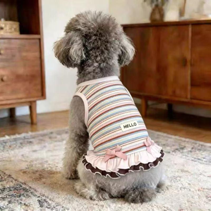Dog clothes Autumn and winter rainbow striped dress Bigbear cat teddy Pomeranian small dog velvet pet vest