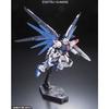 RG Mobile Suit Gundam SEED ZGMF-X10A Freedom Gundam 1/144 Scale Pre-Colored Plastic Model