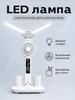 Desk Lamp