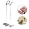 Stainless Steel Bird Feeder Skewer for Parrots Durable Fruit/Meat Holder Cage Perch Food Feeding Stick Pet Bird Accessories 1PC