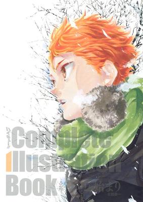 Literatura piękna – Komiksy i manga
