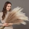 Iarbă de Pampas Mare 100cm Înălțime Buchet Pufoasă de Stuf Flori Artificiale Pampas Decor Casă Nuntă Boho Aranjament Floral