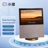 Xiaodu Smart Display X10 (a 2-a gen)