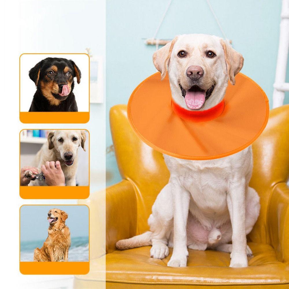 Adjustable Pet Recovery Collars Oxford Cloth Cat Cone Elizabethan Collar  Pet Supplies
