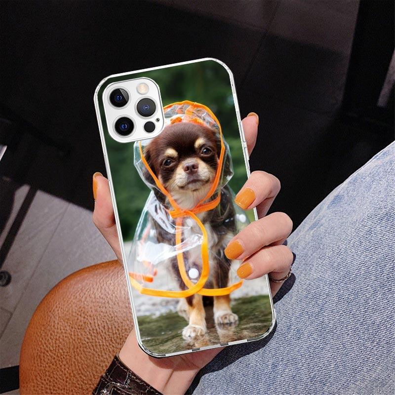 Chihuahua Puppy Teacup Dogs Phnoe Case for Iphone 17 Air 16 11 12 13 Mini 14 Plus 15 Pro Max 7 8E SE 2020 16ProMax Phone Cover C