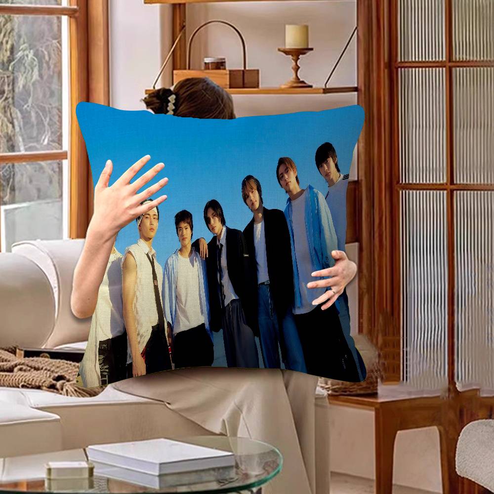 Kpop R-rIIZE Cushion Cover Inches Farmhouse Decor Home Throw Pillow Covers For Couch Decorations
