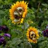 Fun Halloween Garden Accessory Sunflower Skull Ornament, Theme Decor, Potted Outdoor Spooky Planter Plant Waterproof Decoration, for Lawn
