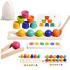 3-in-1 Montessori Educational Toy for Ages 3, 4, and 5: Early Development, Color Matching, Fine Motor Skills Training, Tongs, Spoon Practice, Cup Bala