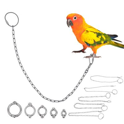 Anillo para Pata de Loro Acero Inoxidable Cadena de Tobillo para Pájaro Anillo de Cadena Anti-Mordedura Cable de Acero Accesorios para Entrenamiento de Vuelo al Aire Libre Suministro para Palomas