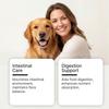 Kriath Gentle Probiotic Granules for Dogs – Suitable for All Breeds Daily Care