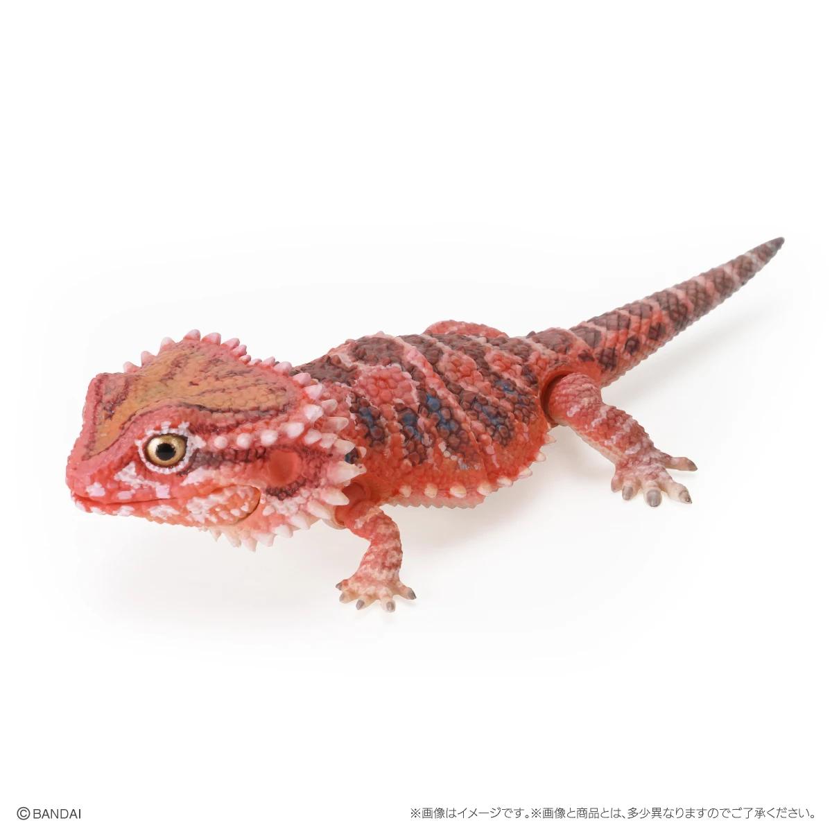 

Genuine Popularity Gacha Biological Encyclopedia Japanese Gecko Bearded Lizard Action Figure Miniature Playthings