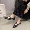 2025Stylish Square Head Shallow Sole Women's Spring Autumn New Style French Night Vintage Commuting Low Heel Mary Jane Shoes