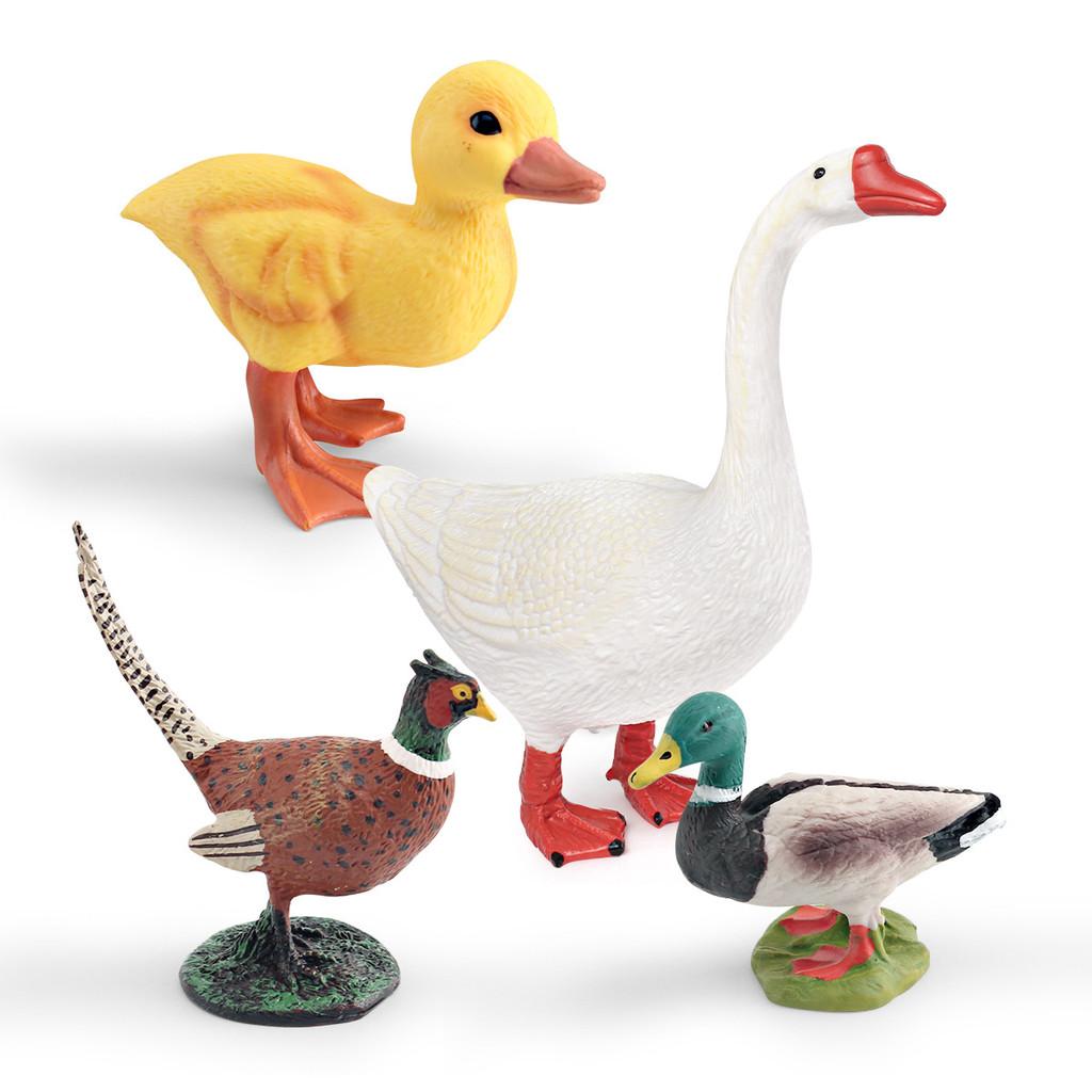 Farm Animal Pvc Figures With Static Bird Models For Childrens Learning And Collection