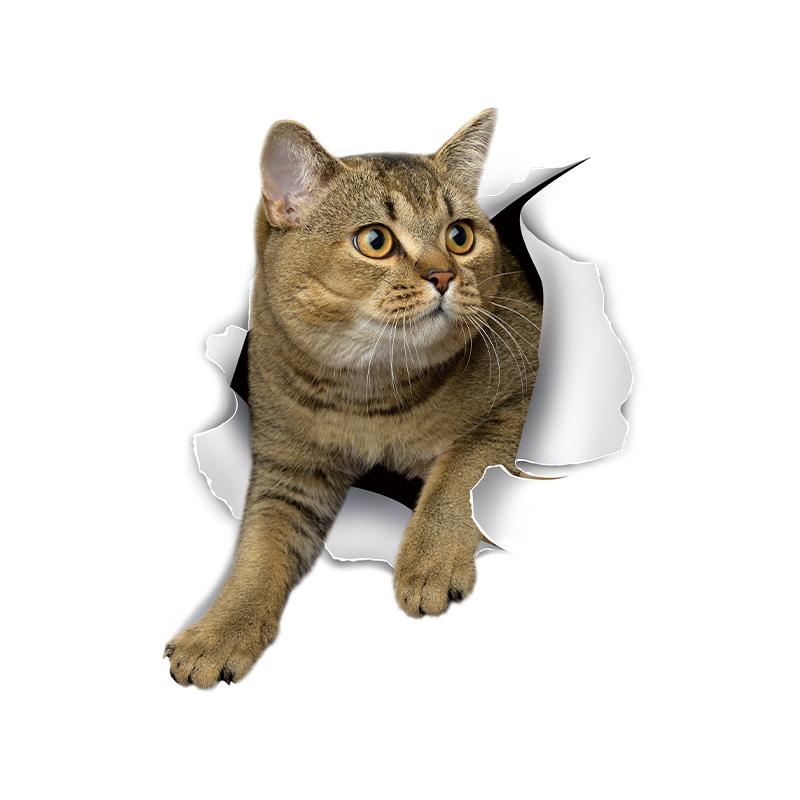 

3D Cat Stickers - Removable Waterproof Wall Decals for Bathroom Toilet, Funny Self-Adhesive Decor for Bedroom Living Room 25X30cm різнокольоровий
