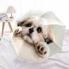 Shih Tzu pattern, automatic folding umbrella, portable and foldable design, 8 ribs, a Christmas or birthday gift.
