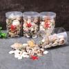 Beach Seashells Decoration Starfish Sea Snail Coral Ornament for Wedding Party