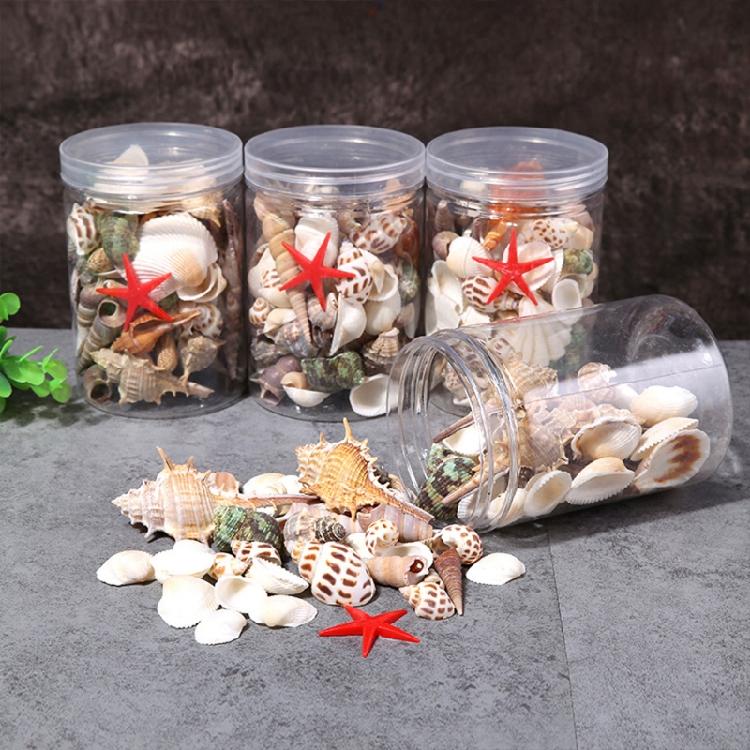 Beach Seashells Decoration Starfish Sea Snail Coral Ornament for Wedding Party