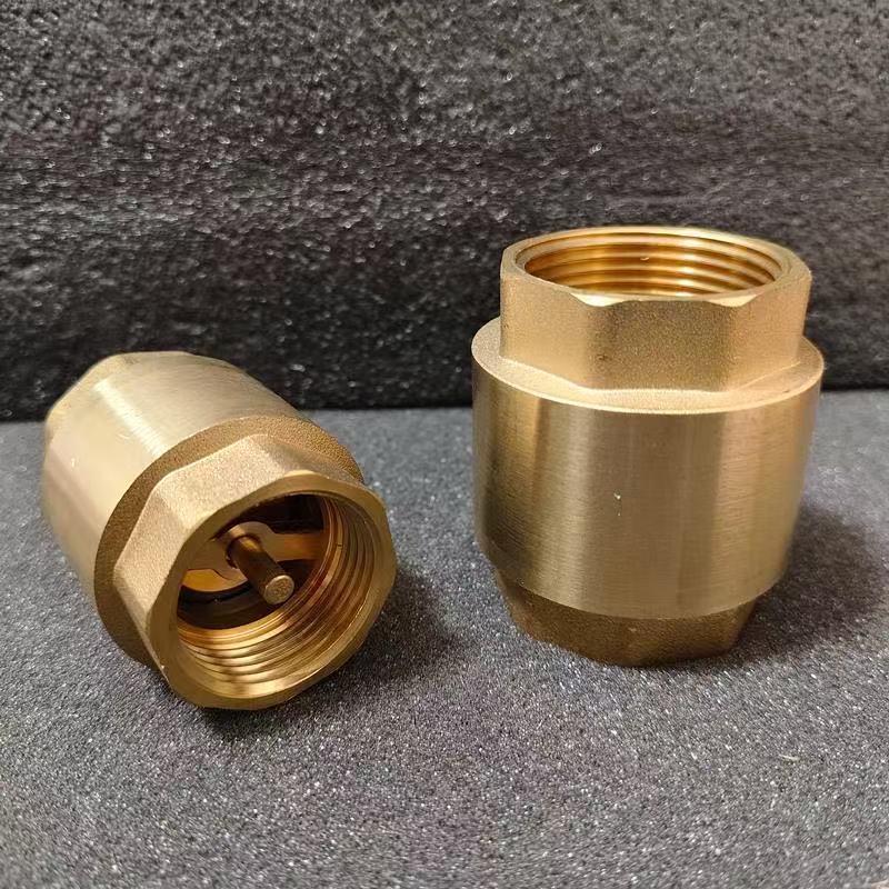 Manual Brass Vertical Check Valve for Water One-Way Spring Check Valve