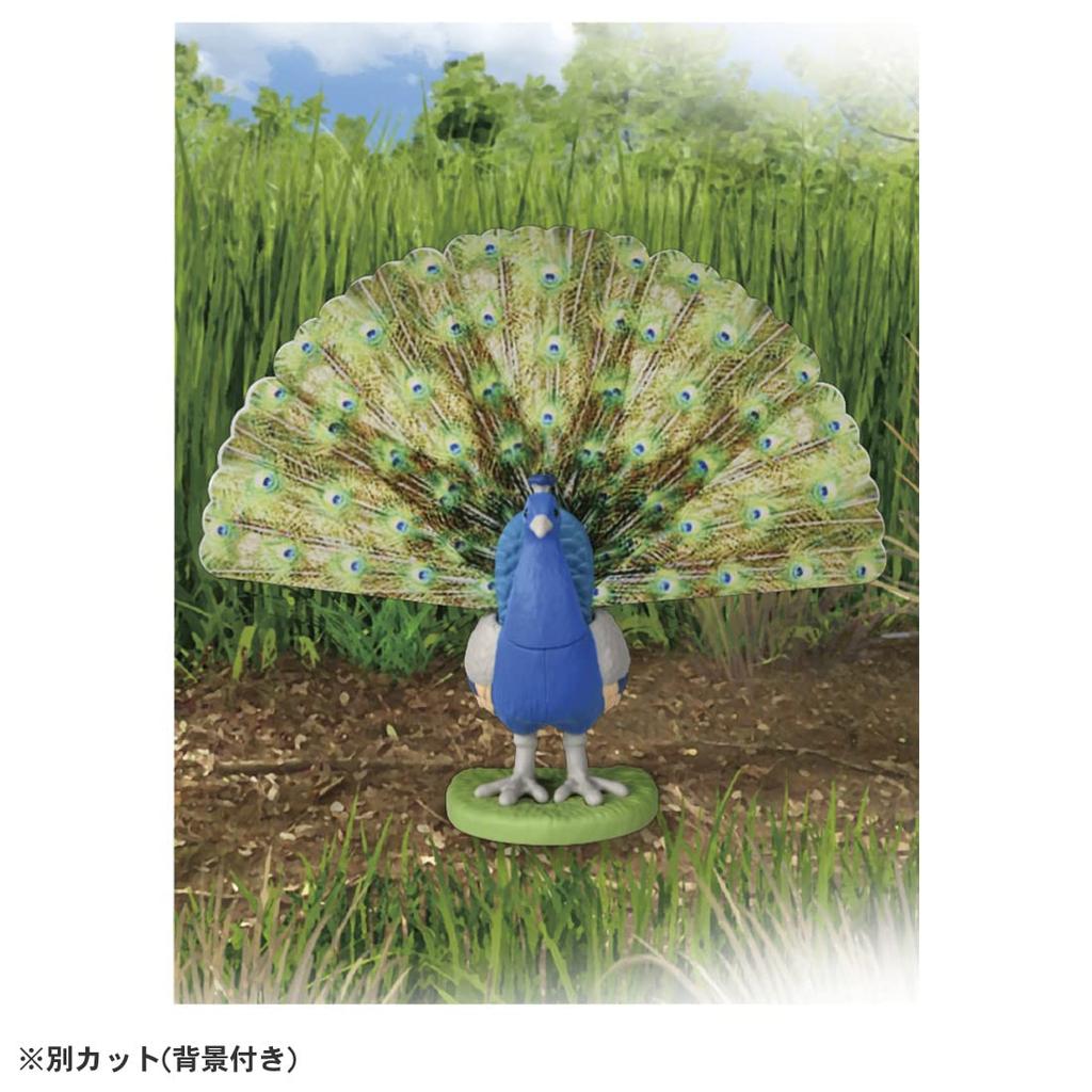 TAKARA TOMY Ania Peacock Animal Dinosaur Toy Ages AS-16 (Indian Peafowl) 3+